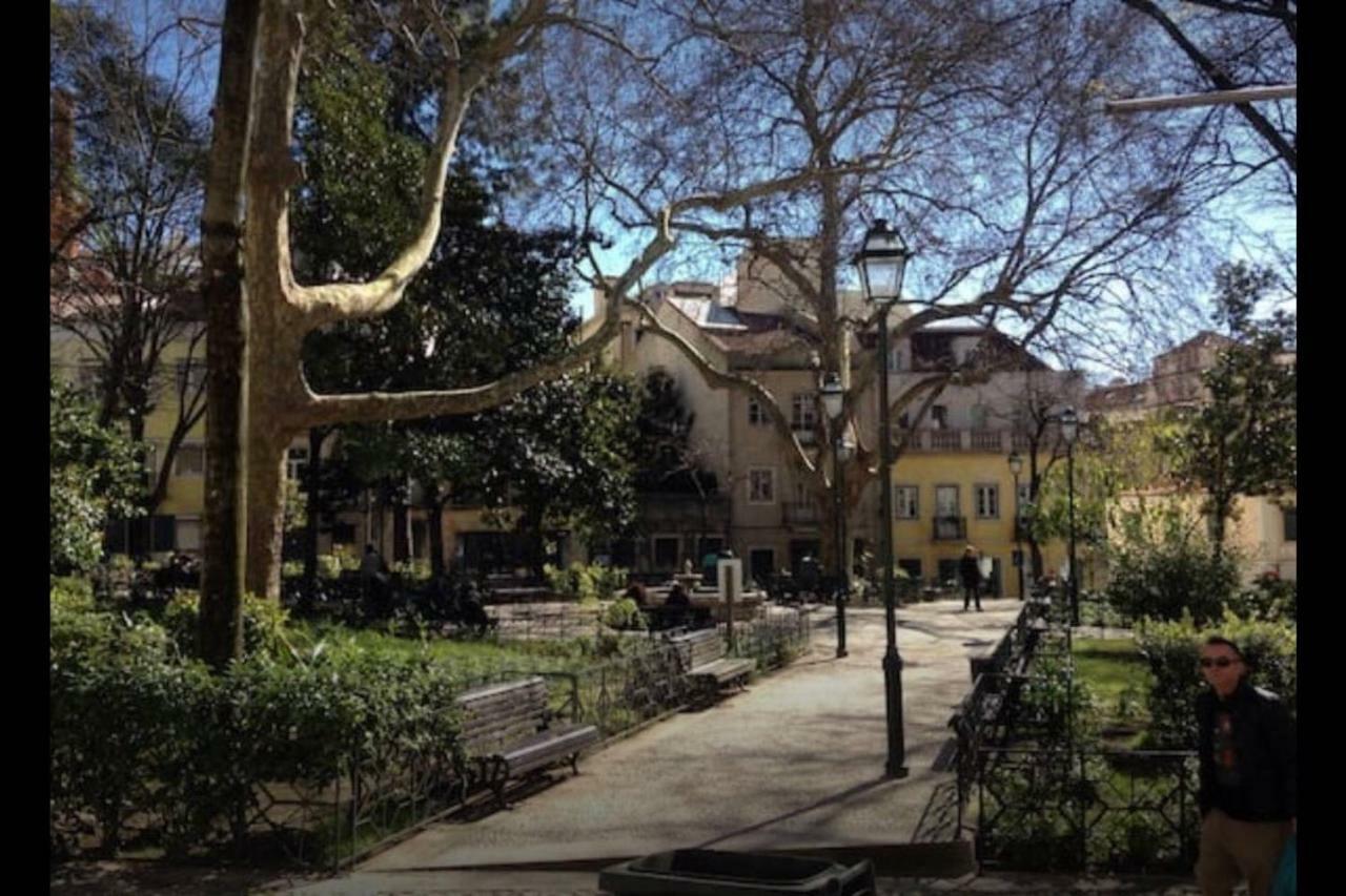 New Charming Flat - Lisbon Center Apartment Exterior photo